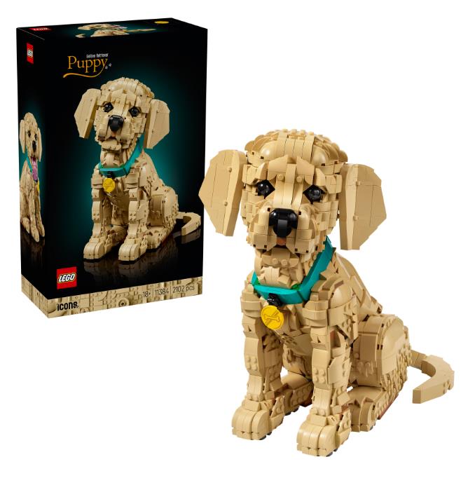 Конструктор LEGO Icons Цуценя золотистого ретривера