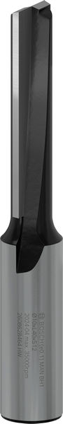 Фреза пазова Bosch Professional з двома лезами Std S12 D10 L40