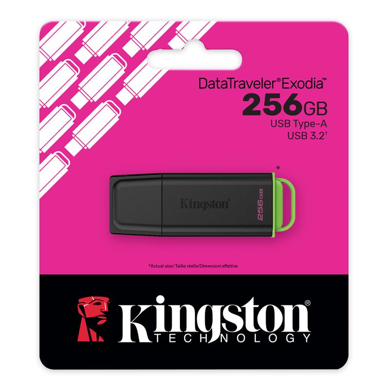 Накопичувач Kingston 256GB USB 3.2 Type-A Gen1 DT Exodia