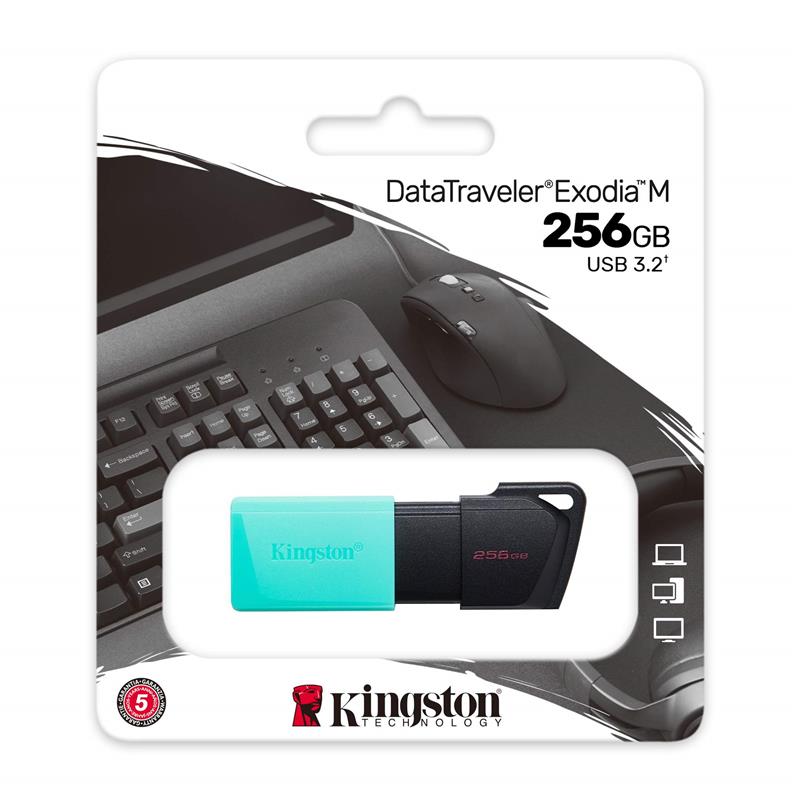 Накопичувач Kingston 256GB USB 3.2 Type-A Gen1 DT Exodia M