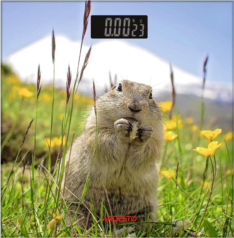Ваги ARDESTO підлогові Marmot, 150кг, AAAx2 в комплекті, скло, багатокольорові